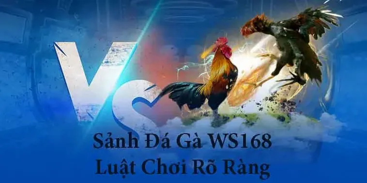 Bật Mí Cách Chơi Đá Gà WS168 Tại F168 Luôn Thắng Lớn 2 Bật Mí Cách Chơi Đá Gà WS168 Tại F168 Luôn Thắng Lớn