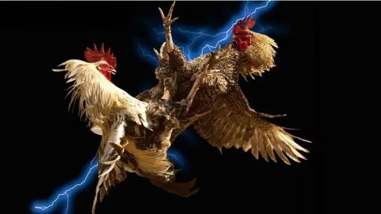 Đá Gà F168 Sân Chơi Đẳng Cấp Cho Mọi Kê Thủ Chuyên Nghiệp